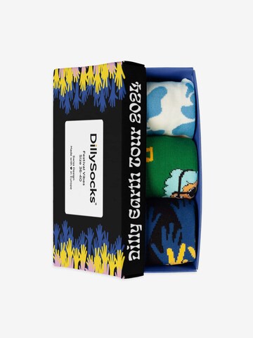 DillySocks Socks 'Festival Vibes ' in Mixed colors