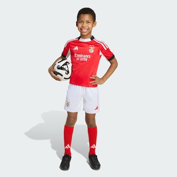 ADIDAS PERFORMANCE Trainingspak 'Benfica Lissabon 25/26' in Rood: voorkant