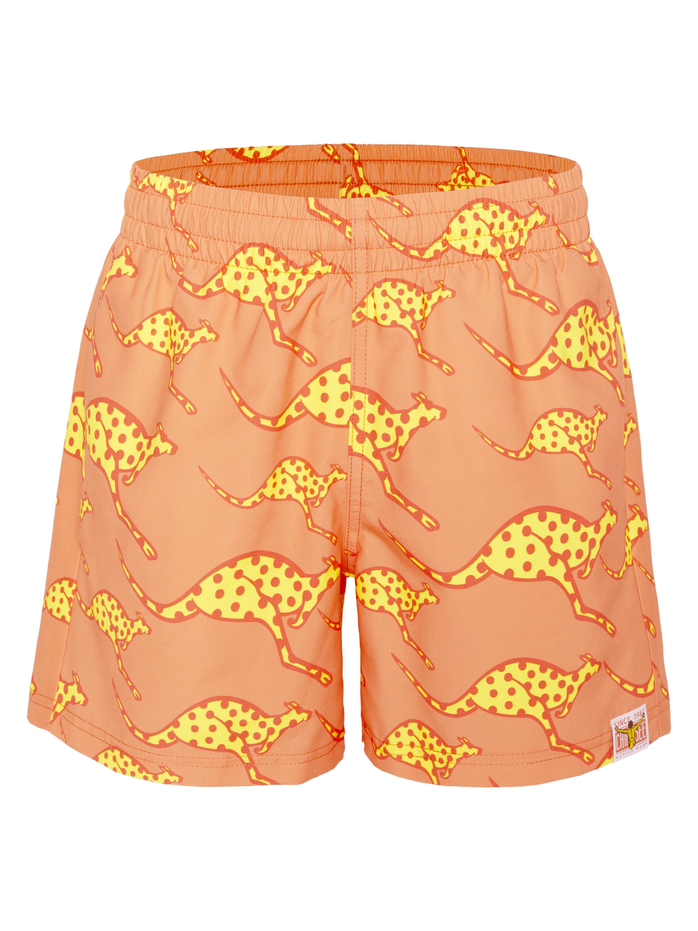 CHIEMSEE Athletic Swimwear in Orange: front