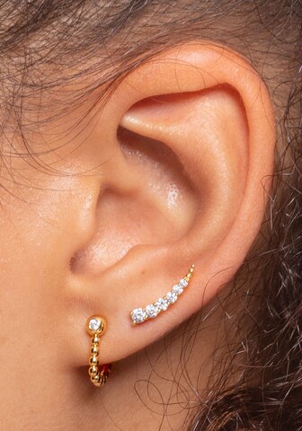 Thomas Sabo Earrings in Gold: front