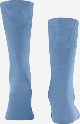 Chaussettes FALKE en bleu