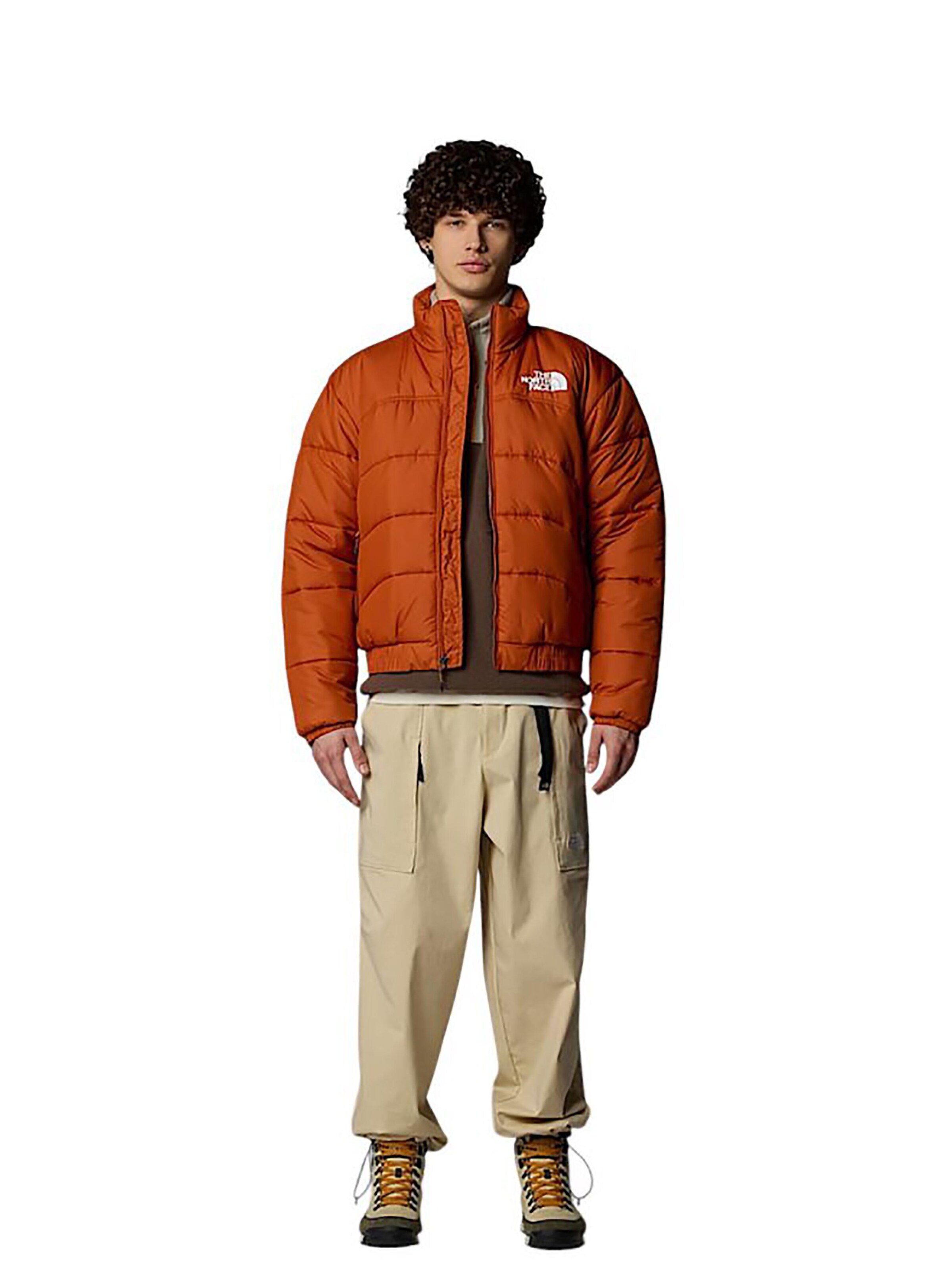 THE NORTH FACE Winter Jacket 'Summit Puffer 2000' in Brown