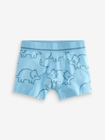 Next Underpants in Blue