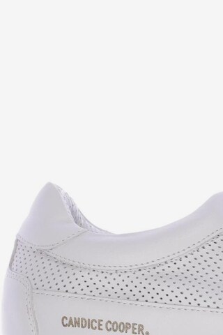Candice Cooper Sneaker 38 in Weiß