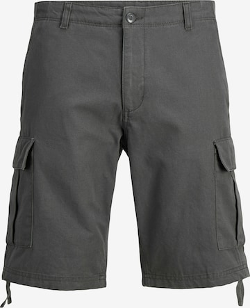 JACK & JONES - Calças cargo 'Cole Barkley' em cinzento: frente