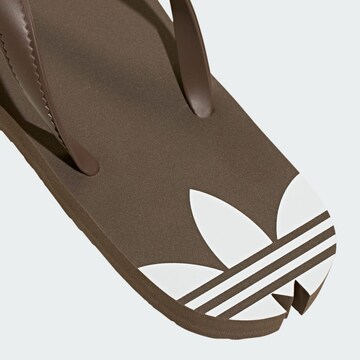 Tongs 'Adi Sun' ADIDAS ORIGINALS en marron