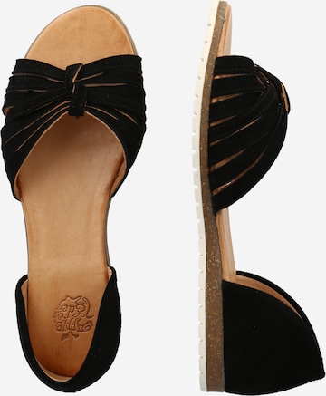 Apple of Eden Sandal in Black