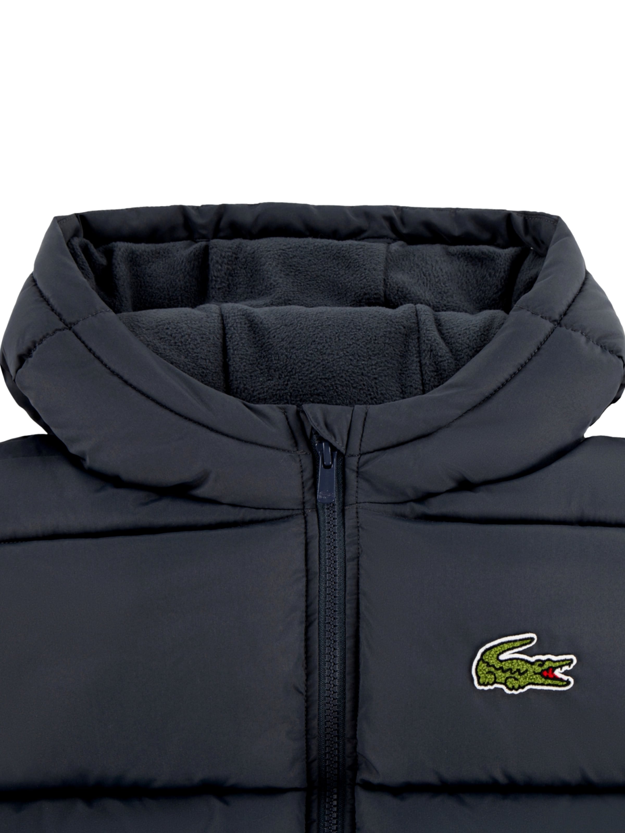 Giacca invernale di LACOSTE in grigio