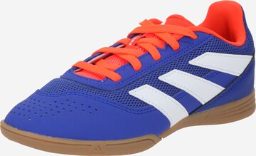 Chaussure de sport 'PREDATOR CLUB SALA' ADIDAS PERFORMANCE en bleu : devant