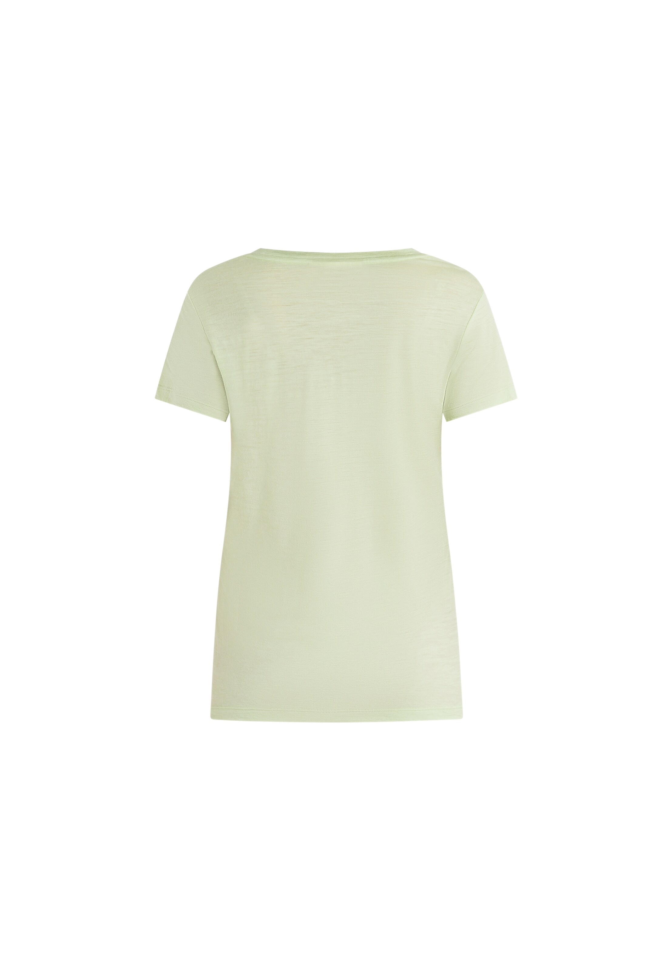 ICEBREAKERTehnička sportska majica 'Tech Lite III' - zelena boja