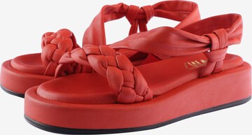 D.MoRo Shoes Sandals in Red: front