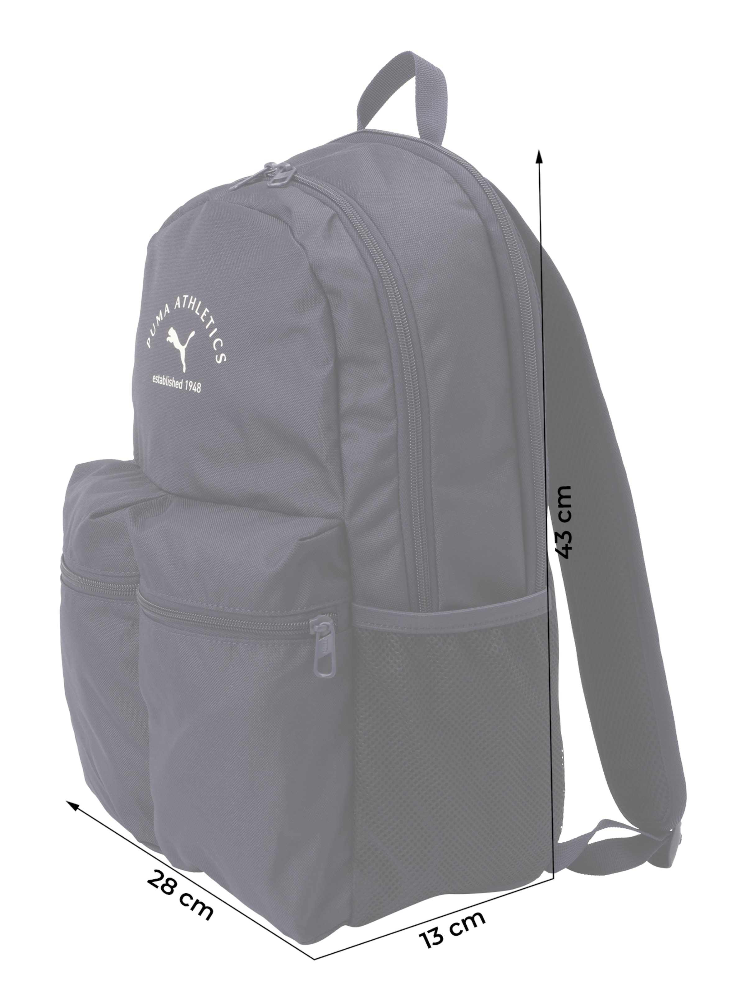 PUMA Backpack 'Phase Class' in Blue