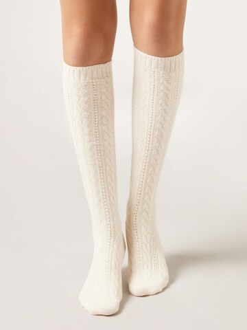 CALZEDONIA Knee High Socks in White: front