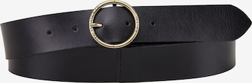 Levi's® Plus Belt in Black: front