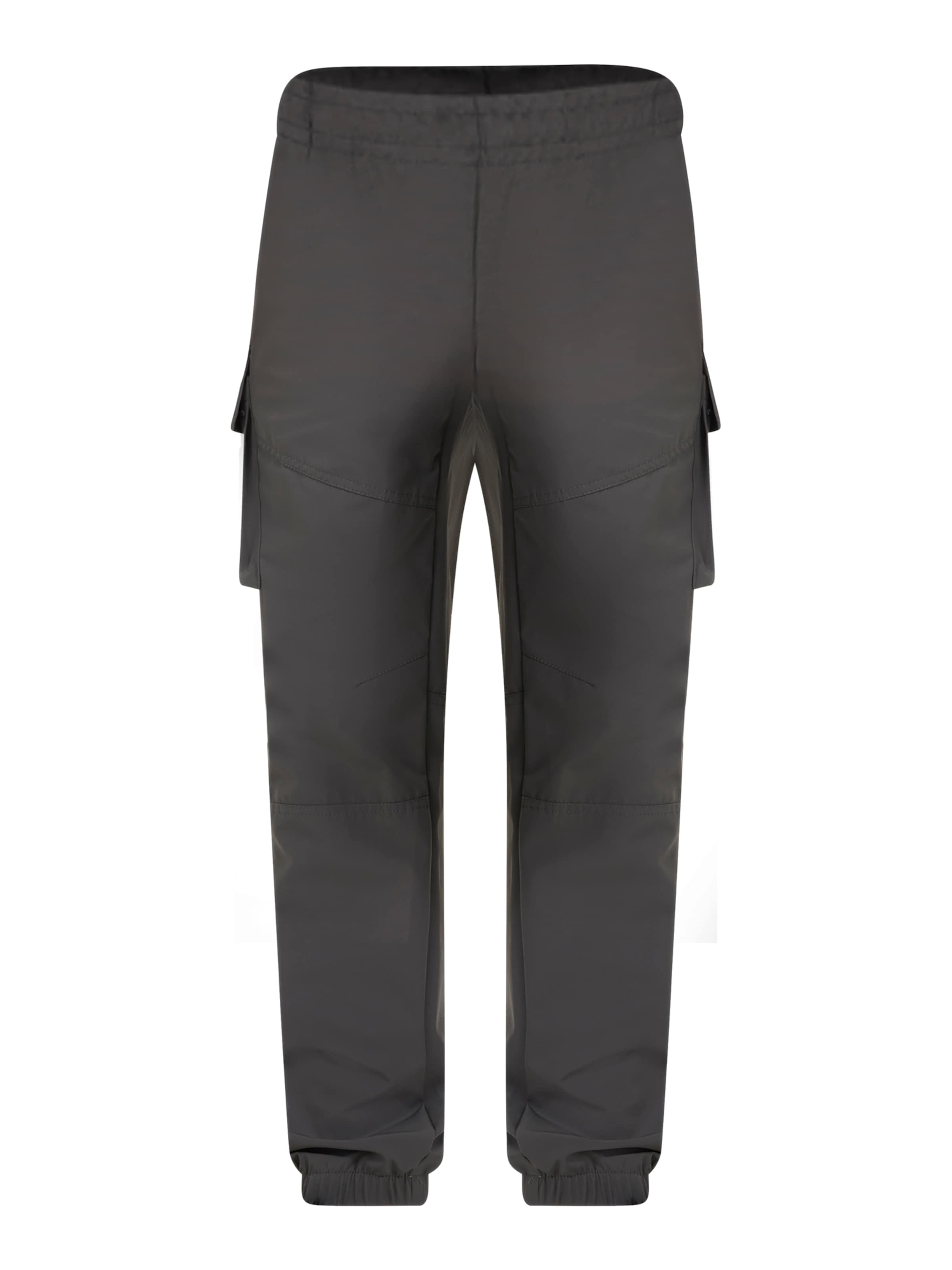 BRAVE SOUL regular Cargobukser i grå: forside