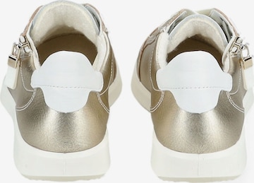 ARA Sneaker in Gold