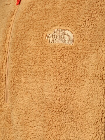 THE NORTH FACE Sweater in Brown