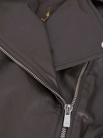 Jilani Übergangsjacke 'Juniper'‌‌‌‌‌‌‌‌ in Braun