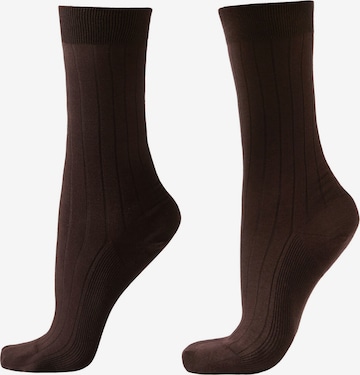 CALZEDONIA Socken in Braun: Vorderseite