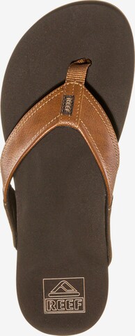 REEF T-Bar Sandals 'Newport' in Brown