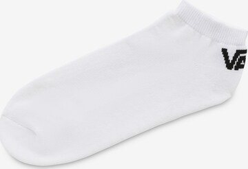 VANS Sokken in Wit: voorkant