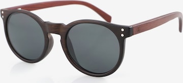 Wave Hawaii Sunglasses ' Spyn ' in Brown: front