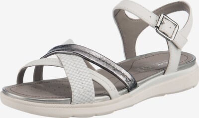 GEOX Strap Sandals in Silver / White, Item view