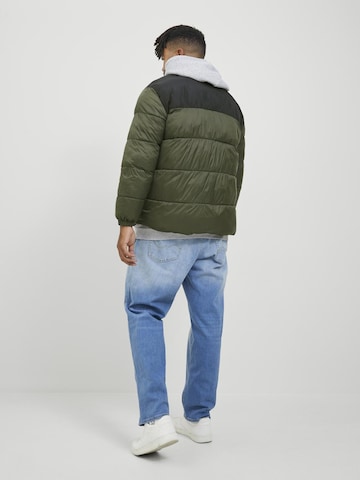 Jack & Jones Plus Winter Jacket in Green