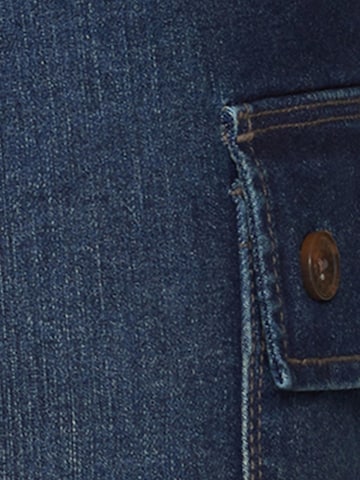 Signal Regular Shorts ' KenSI ' in Blau