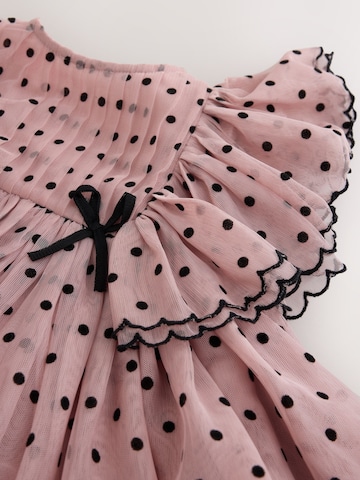 Next Kleid in Pink