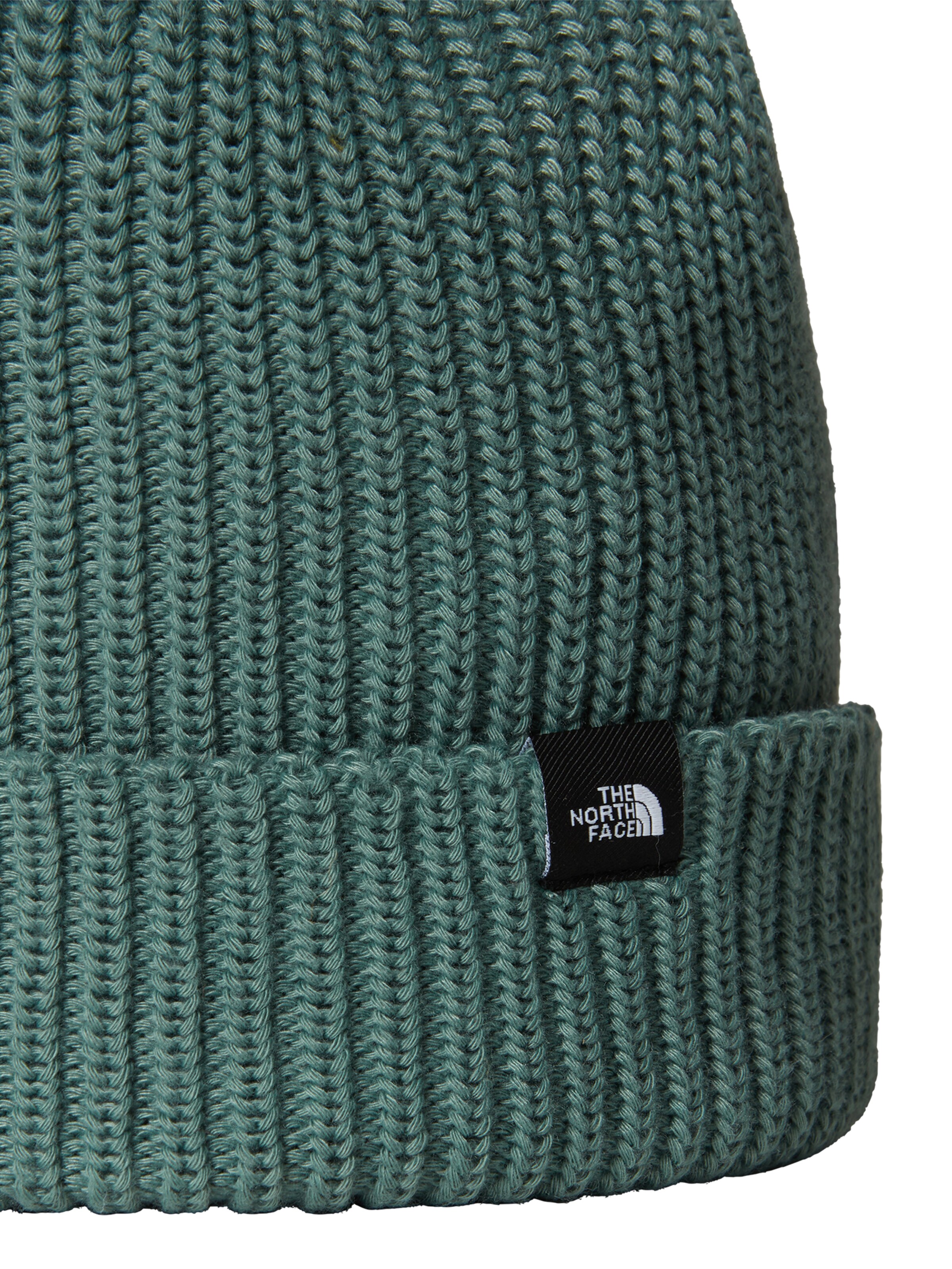 THE NORTH FACE Beanie 'Fisherman' in Green