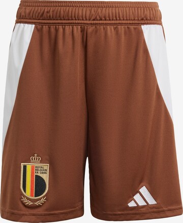 ADIDAS PERFORMANCE Regular Workout Pants 'Belgien 24' in Brown: front