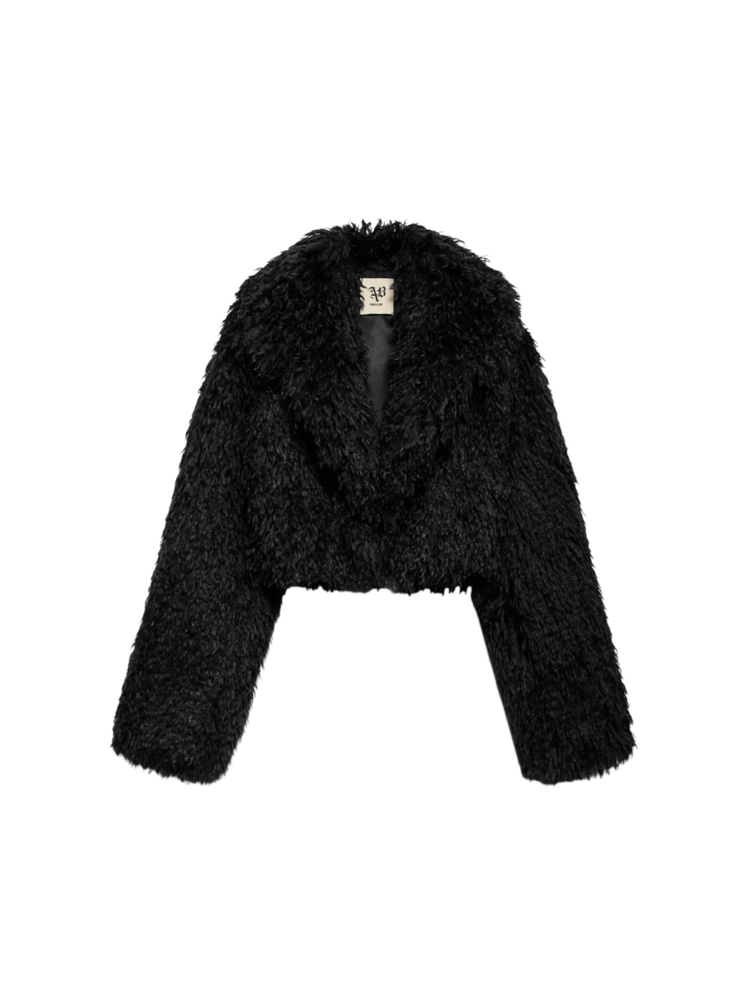 Giacca invernale di Aniye By in nero: frontale