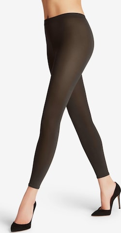 FALKE Leggings 'Cotton Touch' in Braun: Vorderseite