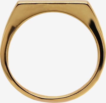 24Kae Ring in Gold: front