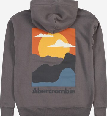 Abercrombie & Fitch Sweatshirt 'IMAGERY' i grå