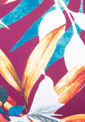 VENICE BEACH Triangle Bikini Top in Red