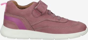 RICHTER Sneakers in Roze