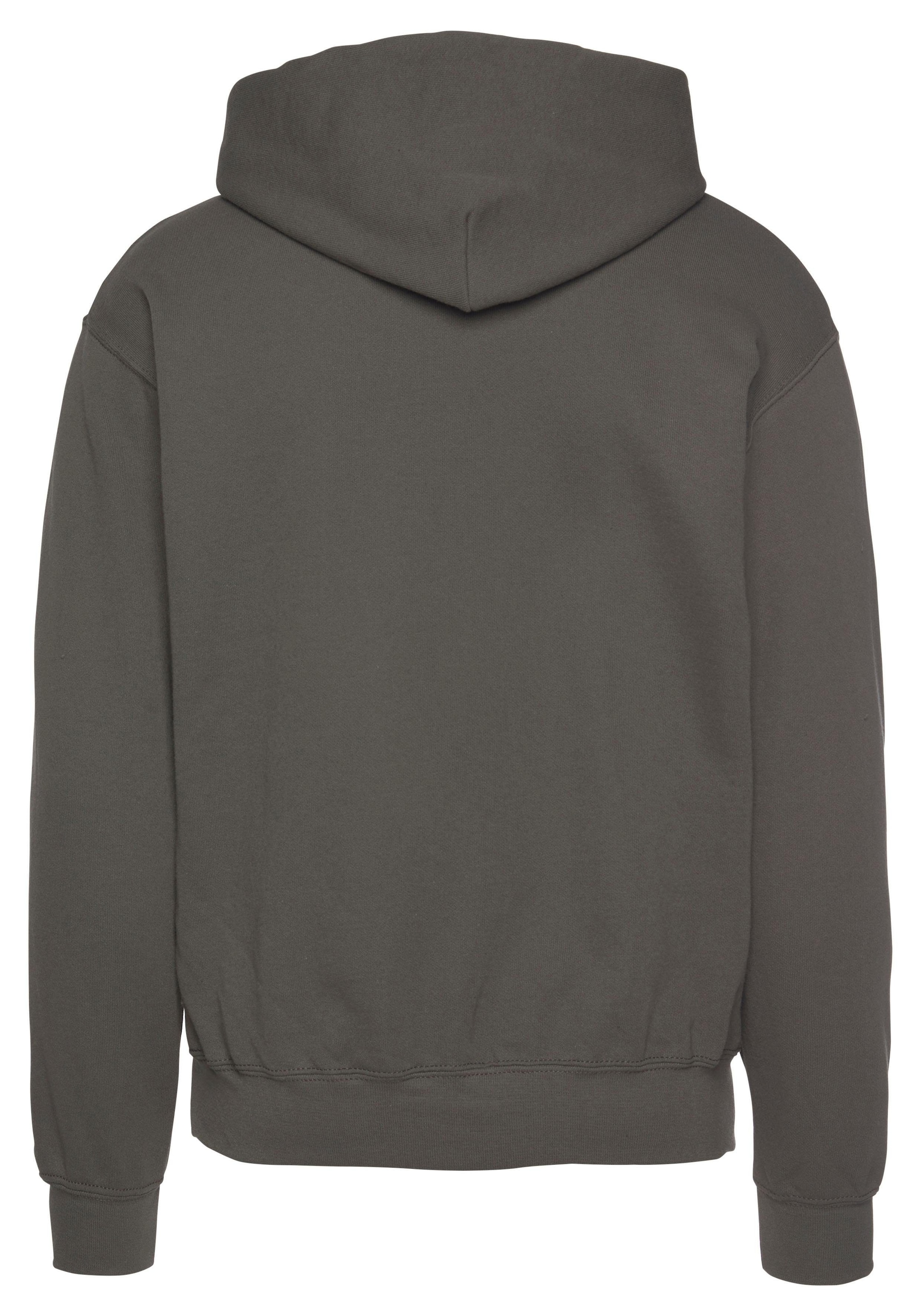 FRUIT OF THE LOOM Sweatshirt in Grey