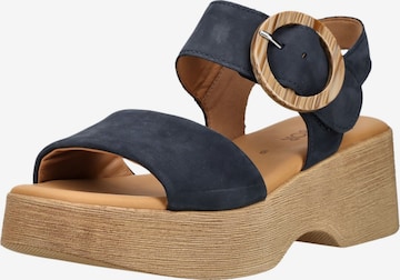 Sandales GABOR en bleu : devant