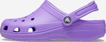 Crocs Puukengät & Crocs-jalkineet värissä lila: etupuoli