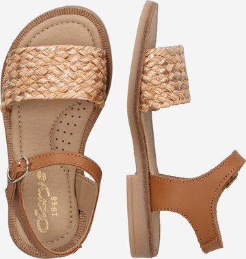 CLARYS Sandal in Brown