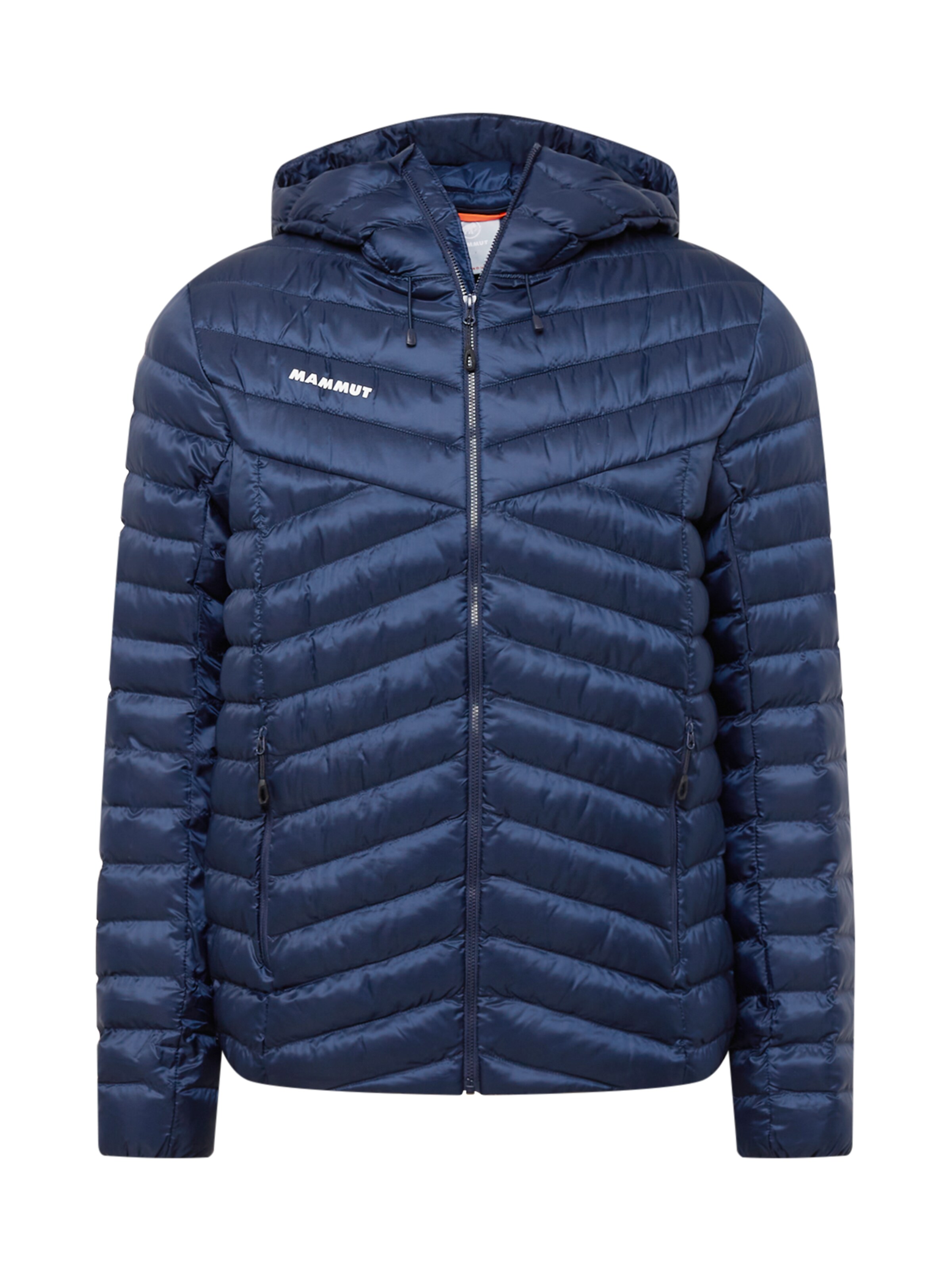 MAMMUT Athletic Jacket 'Albula' in Blue: front
