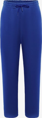 mėlyna Dandalo Standartinis Kelnės: priekis