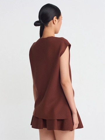 Dilvin Sweater 'Pullover' in Brown