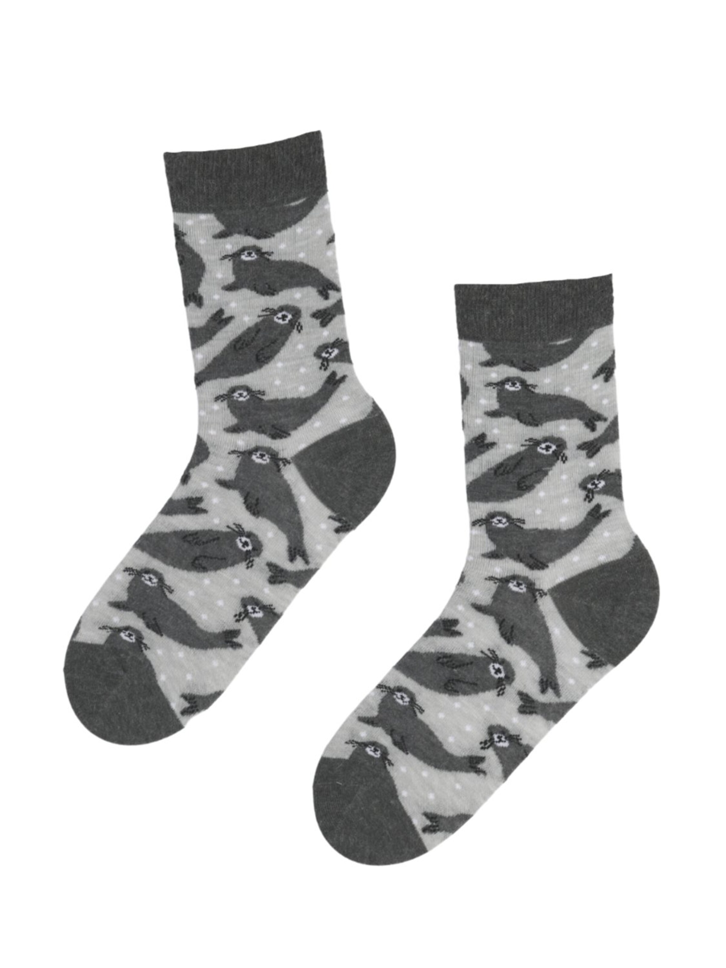 Chaussettes 'WINTER SEAL' Sokisahtel en gris : devant
