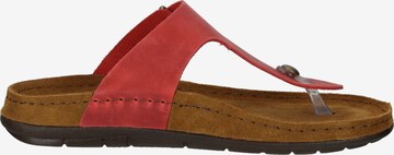 ROHDE T-Bar Sandals in Red