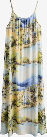 mėlyna Next Suknelė: priekis