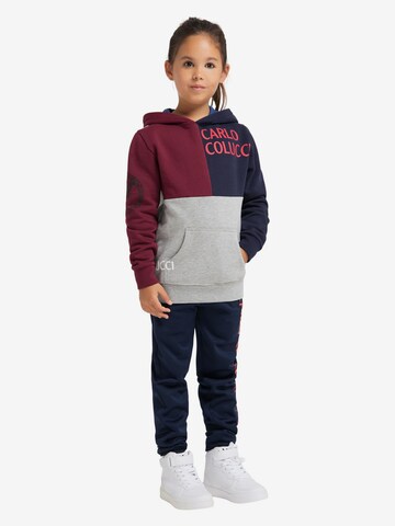 Carlo Colucci Sweatshirt in Gemengde kleuren