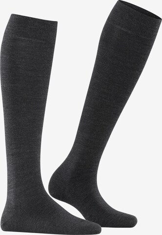 FALKE Knee High Socks 'Softmerino' in Grey: front